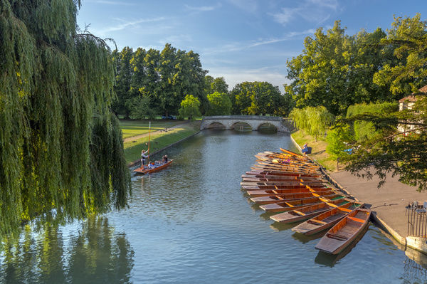 Punts on The Backs, River Cam, Cambridge, Cambridgeshire, England, United Kingdom, Europe